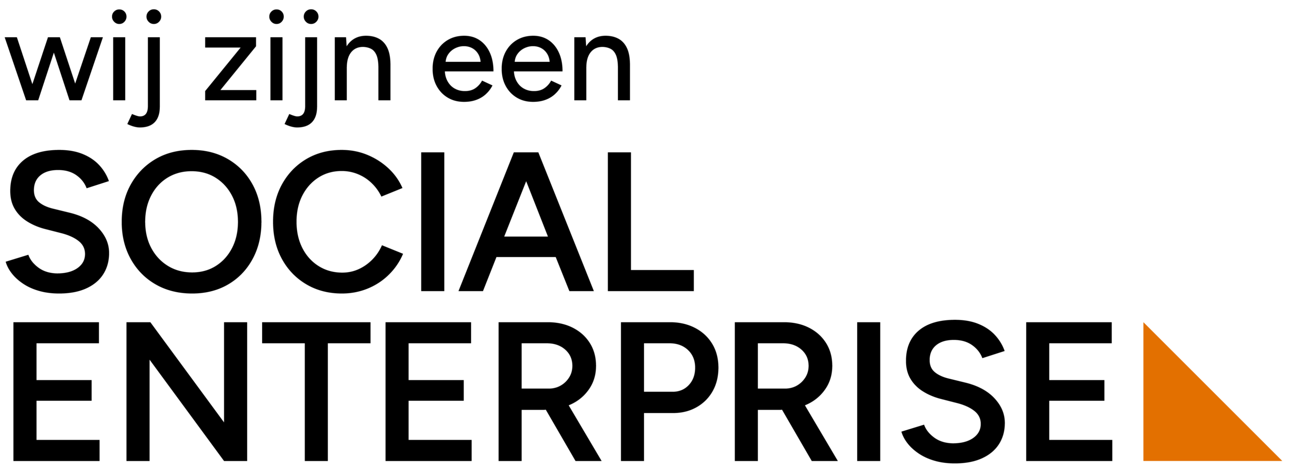 Social Enterprise NL logo